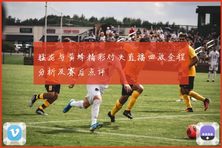 猛龙与黄蜂精彩对决直播回放全程分析及赛后点评