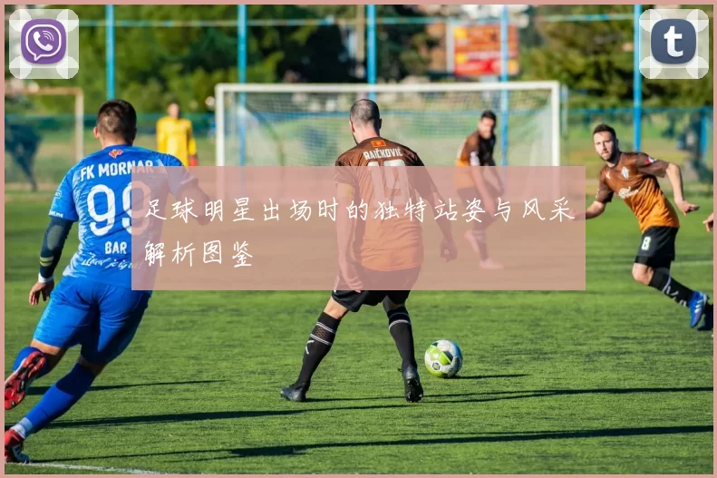 足球明星出场时的独特站姿与风采解析图鉴