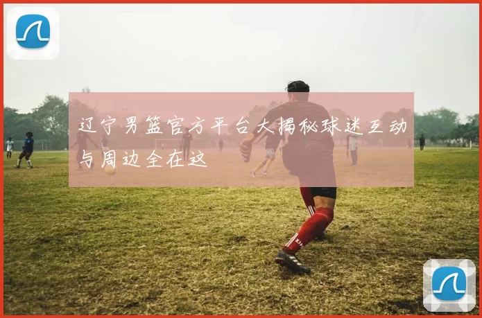 辽宁男篮官方平台大揭秘球迷互动与周边全在这