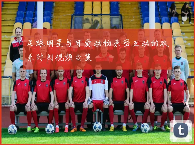 足球明星与可爱动物亲密互动的欢乐时刻视频合集