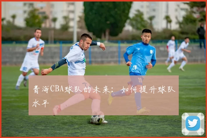 青海CBA球队的未来：如何提升球队水平