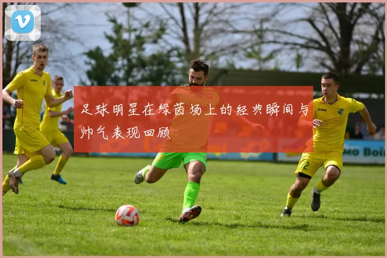 足球明星在绿茵场上的经典瞬间与帅气表现回顾