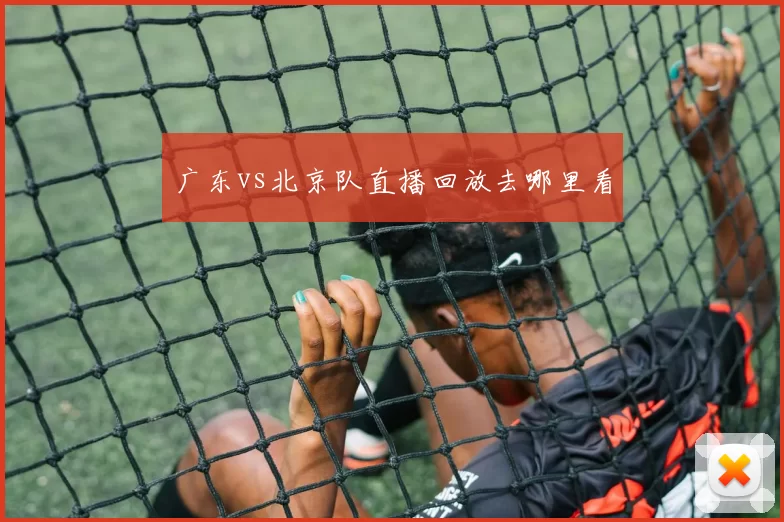 广东vs北京队直播回放去哪里看