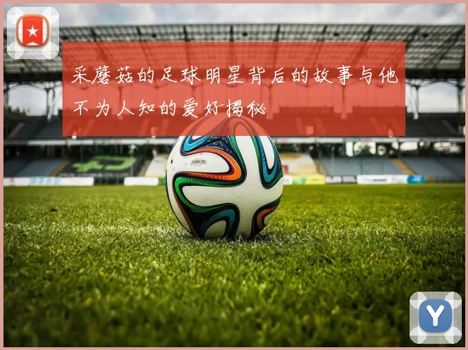 采蘑菇的足球明星背后的故事与他不为人知的爱好揭秘