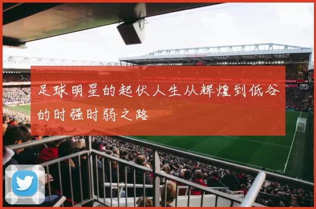 足球明星的起伏人生从辉煌到低谷的时强时弱之路