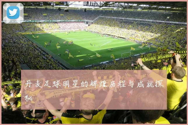 丹麦足球明星的辉煌历程与成就探秘