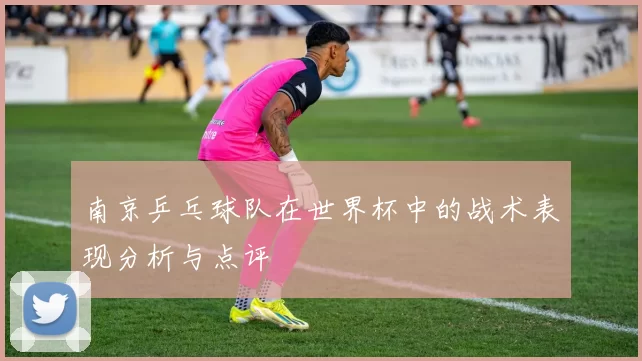南京乒乓球队在世界杯中的战术表现分析与点评