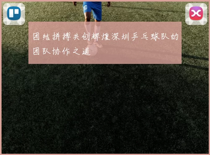 团结拼搏共创辉煌深圳乒乓球队的团队协作之道