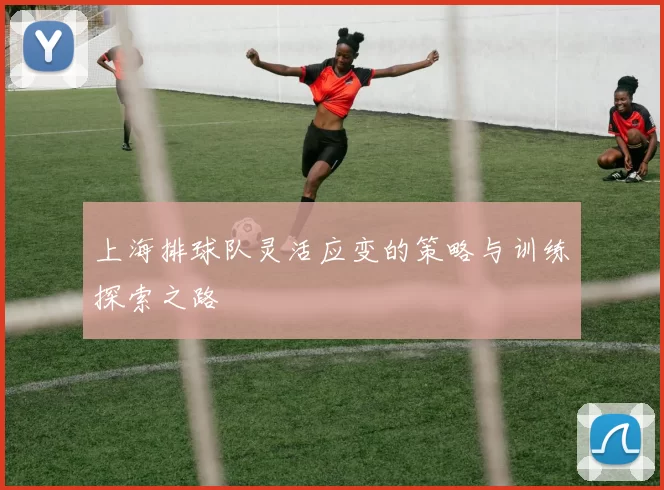 上海排球队灵活应变的策略与训练探索之路