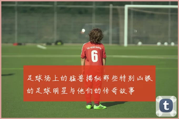 足球场上的猛兽揭秘那些特别凶狠的足球明星与他们的传奇故事