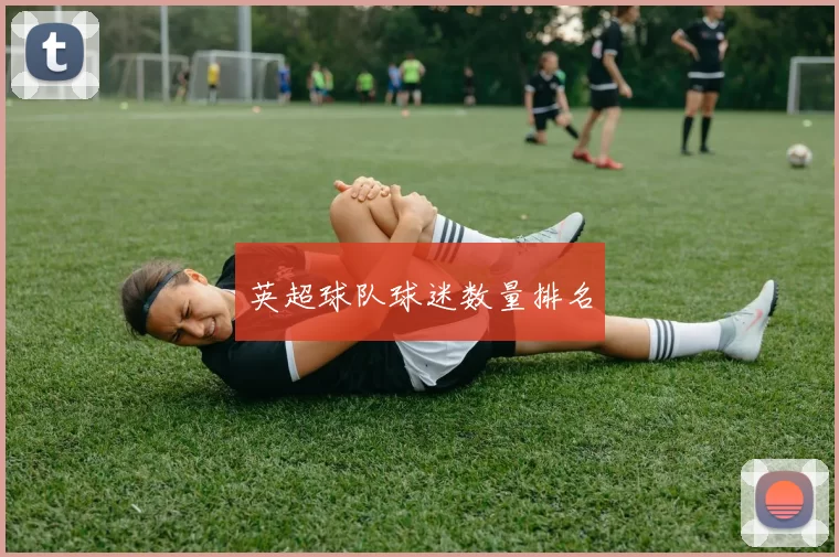 英超球队球迷数量排名