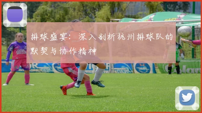 排球盛宴：深入剖析杭州排球队的默契与协作精神