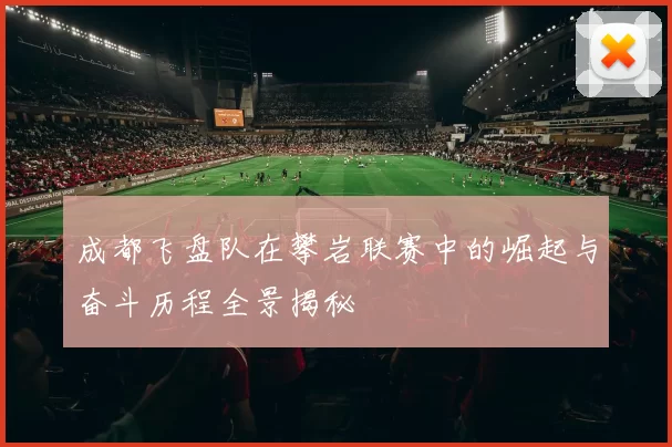 成都飞盘队在攀岩联赛中的崛起与奋斗历程全景揭秘