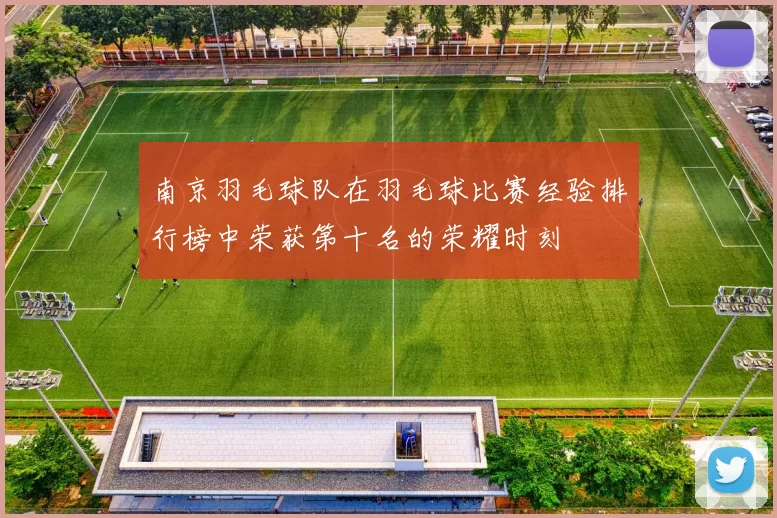 南京羽毛球队在羽毛球比赛经验排行榜中荣获第十名的荣耀时刻
