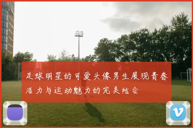 足球明星的可爱头像男生展现青春活力与运动魅力的完美结合