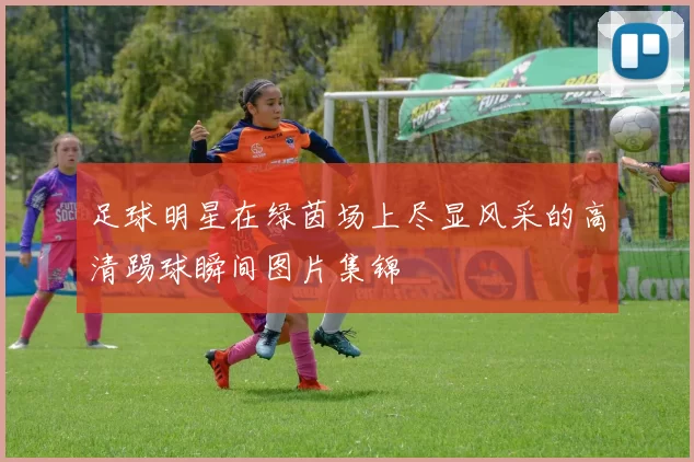 足球明星在绿茵场上尽显风采的高清踢球瞬间图片集锦