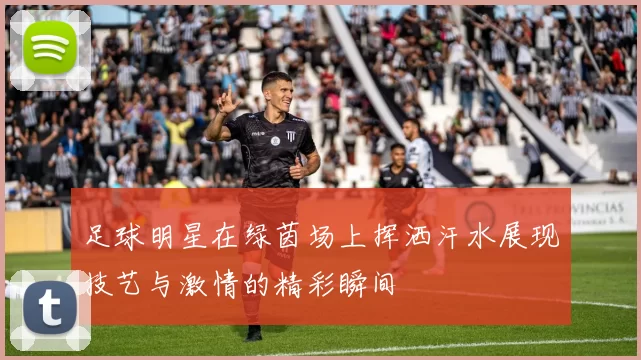 足球明星在绿茵场上挥洒汗水展现技艺与激情的精彩瞬间