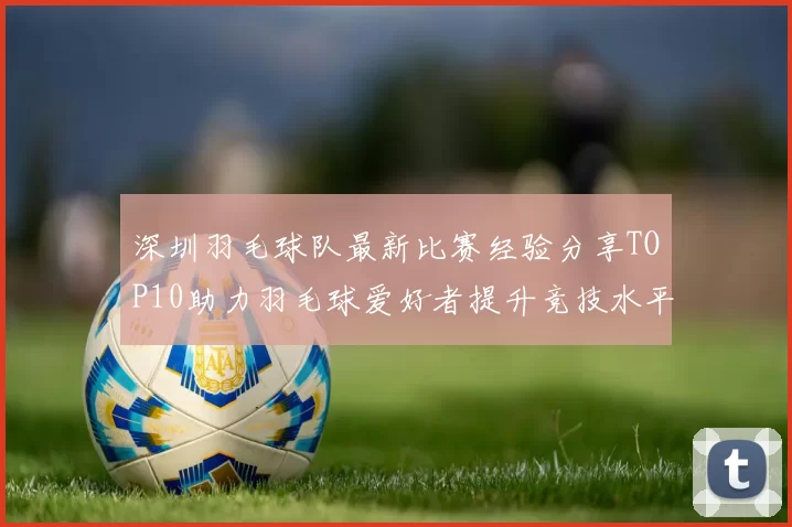 深圳羽毛球队最新比赛经验分享TOP10助力羽毛球爱好者提升竞技水平