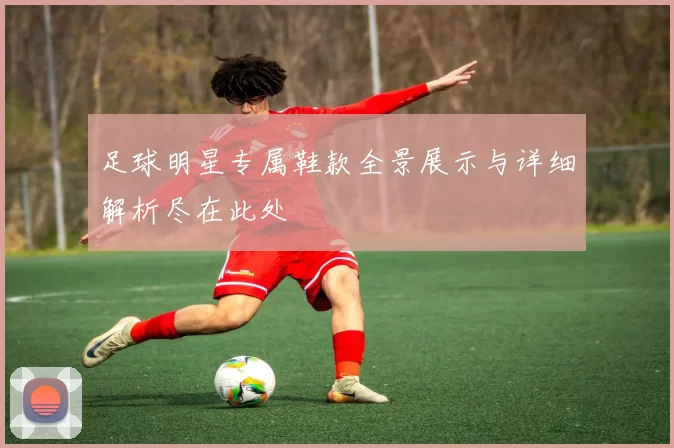 足球明星专属鞋款全景展示与详细解析尽在此处