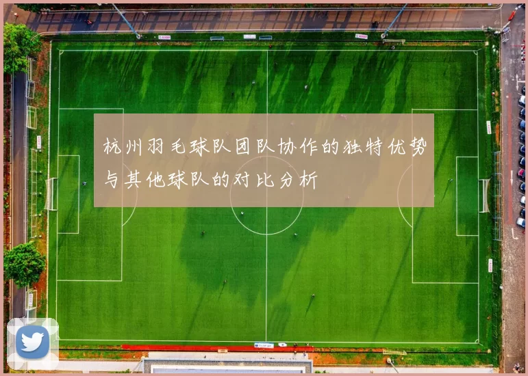 杭州羽毛球队团队协作的独特优势与其他球队的对比分析